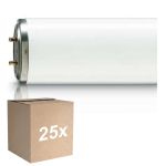 Monipakkaus 25x Philips TL-DK 36W - Blacklight | 60cm - Insectkiller