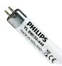Philips T5 Short 8W - 640 Kylmä Valkoinen | 29cm